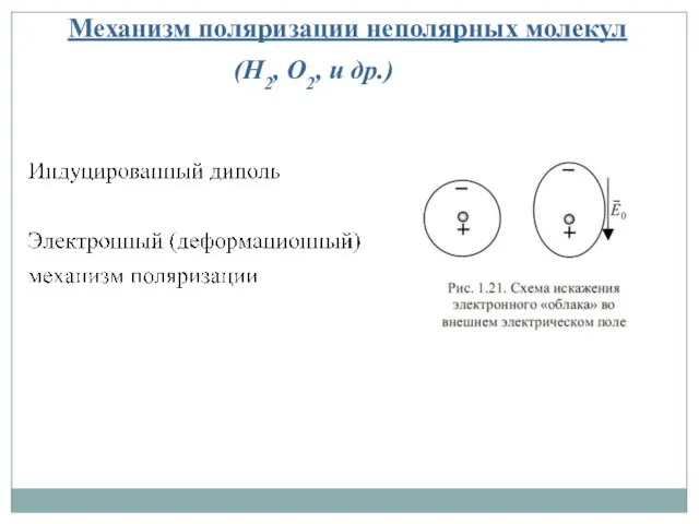 Механизм поляризации неполярных молекул (Н2, O2, и др.)