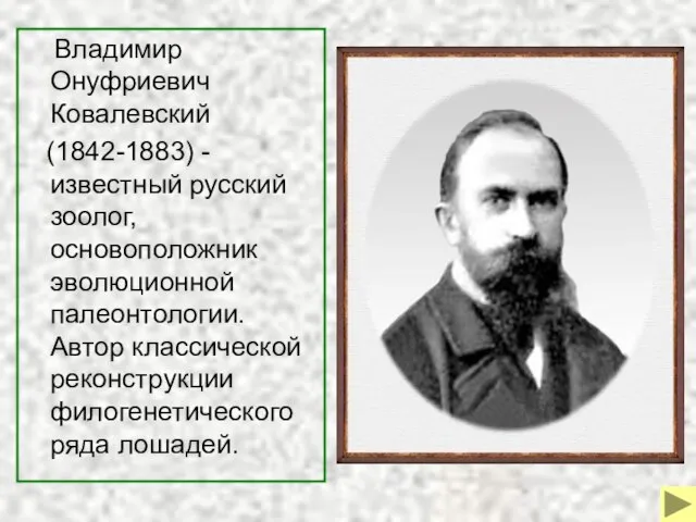 Владимир Онуфриевич Ковалевский (1842-1883) - известный русский зоолог, основоположник эволюционной палеонтологии.