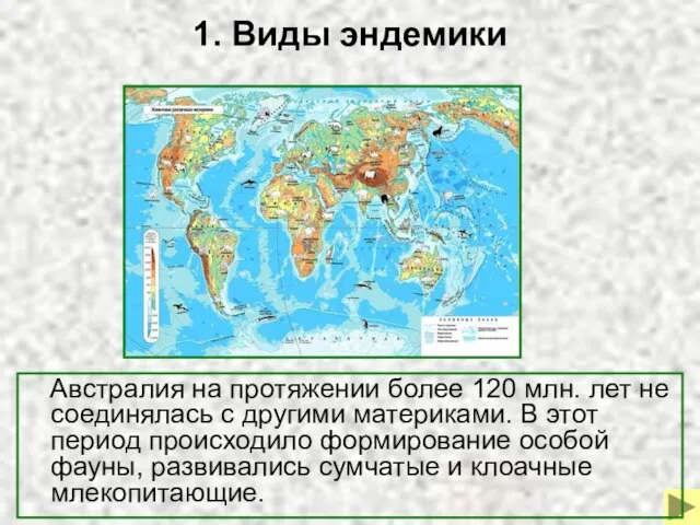 1. Виды эндемики Австралия на протяжении более 120 млн. лет не