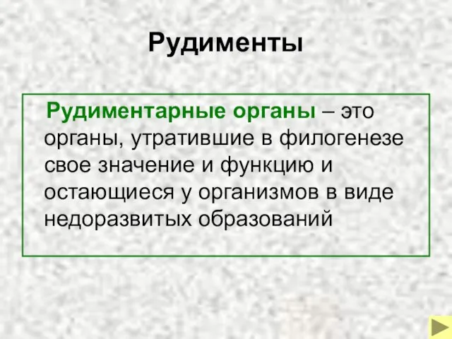 Рудименты Рудиментарные органы – это органы, утратившие в филогенезе свое значение