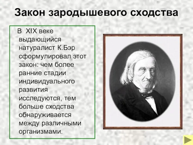 Закон зародышевого сходства В XIX веке выдающийся натуралист К.Бэр сформулировал этот