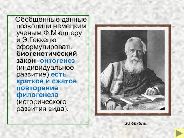 Обобщенные данные позволили немецким ученым Ф.Мюллеру и Э.Геккелю сформулировать биогенетический закон: