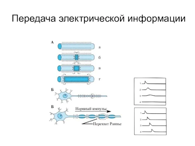 Передача электрической информации