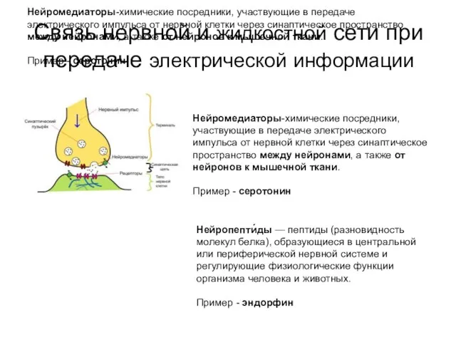 Нейромедиаторы-химические посредники, участвующие в передаче электрического импульса от нервной клетки через