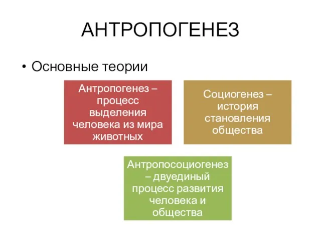 АНТРОПОГЕНЕЗ Основные теории