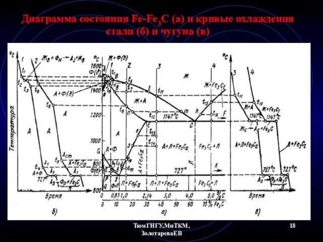 ТюмГНГУ,МиТКМ,ЗолотареваЕВ Диаграмма состояния Fe-Fe3C (а) и кривые охлаждения стали (б) и чугуна (в)