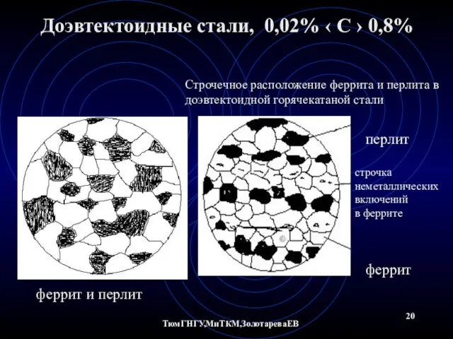 ТюмГНГУ,МиТКМ,ЗолотареваЕВ Доэвтектоидные стали, 0,02% ‹ С › 0,8% феррит и перлит