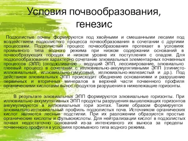 Условия почвообразования, генезис Подзолистые почвы формируются под хвойными и смешанными лесами