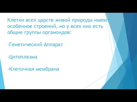 Клетки всех царств живой природы имеют особенное строений, но у всех