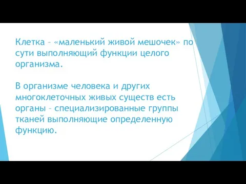 Клетка – «маленький живой мешочек» по сути выполняющий функции целого организма.