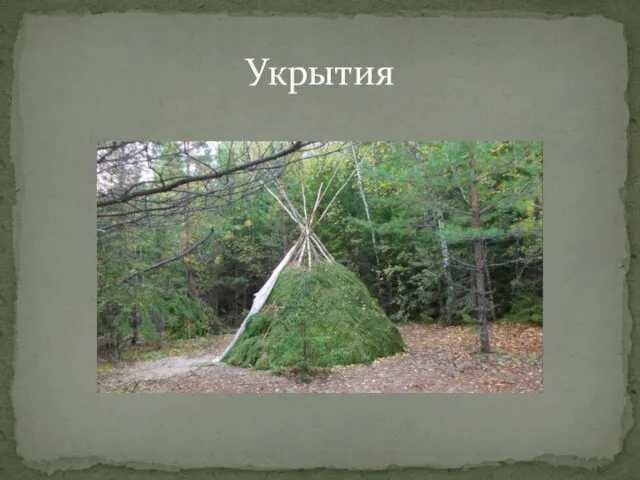 Укрытия