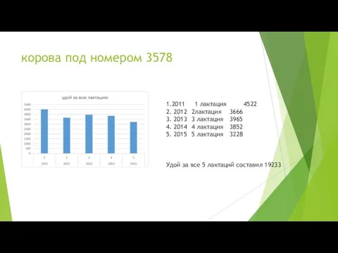 корова под номером 3578 1.2011 1 лактация 4522 2. 2012 2лактация