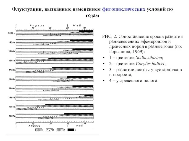 Флуктуации, вызванные изменением фитоциклических условий по годам РИС. 2. Сопоставление сроков