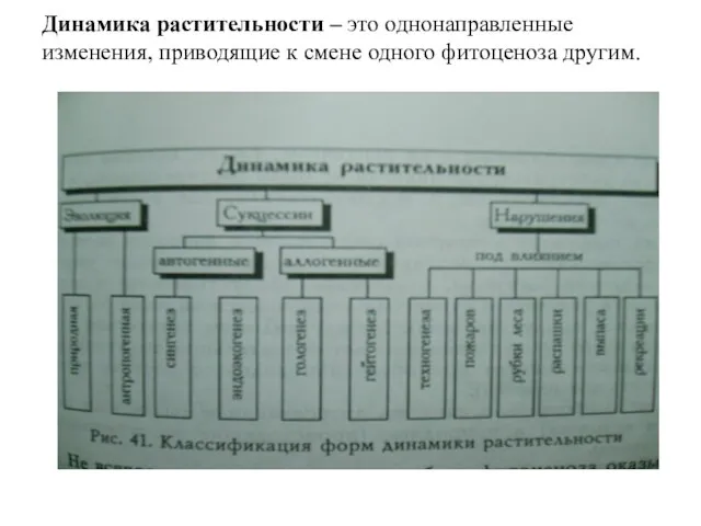 Динамика растительности – это однонаправленные изменения, приводящие к смене одного фитоценоза другим.