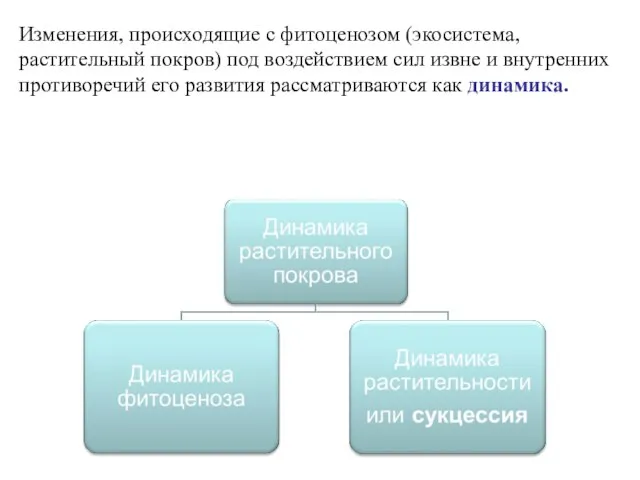 Изменения, происходящие с фитоценозом (экосистема, растительный покров) под воздействием сил извне