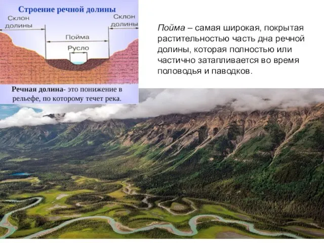 Пойма – самая широкая, покрытая растительностью часть дна речной долины, которая