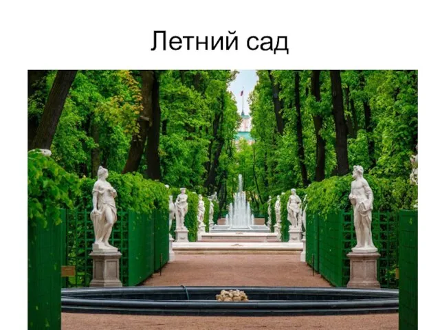 Летний сад