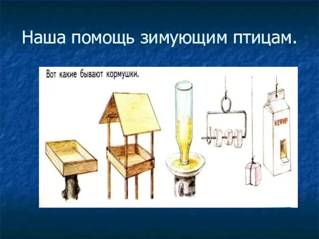 Наша помощь зимующим птицам.