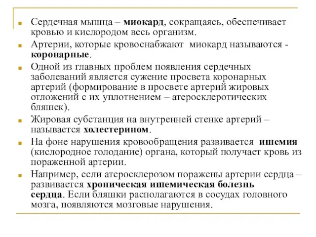 Сердечная мышца – миокард, сокращаясь, обеспечивает кровью и кислородом весь организм.