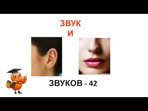ЗВУКОВ - 42 ЗВУКИ