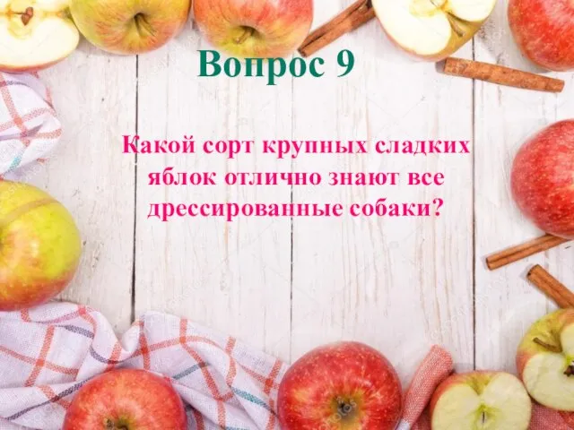 Вопрос 9 Какой сорт крупных сладких яблок отлично знают все дрессированные собаки?