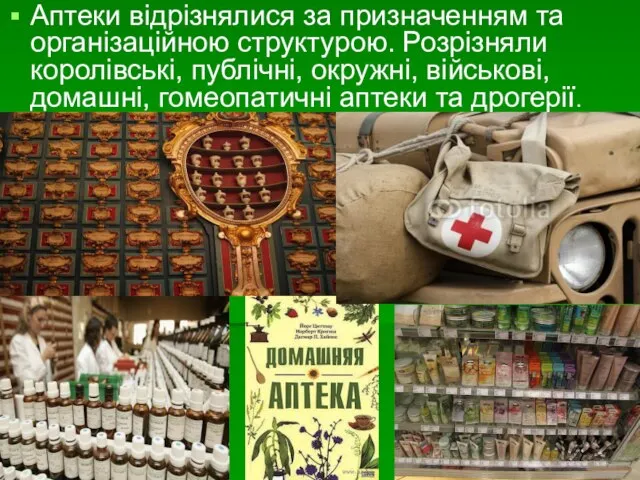 Аптеки відрізнялися за призначенням та організаційною структурою. Розрізняли королівські, публічні, окружні,