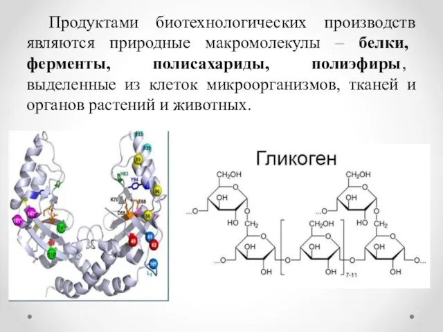 Продуктами биотехнологических производств являются природные макромолекулы – белки, ферменты, полисахариды, полиэфиры,