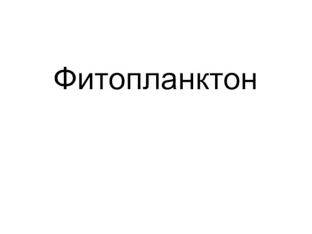 Фитопланктон