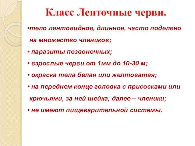 Класс Ленточные черви. тело лентовидное, длинное, часто поделено на множество члеников;