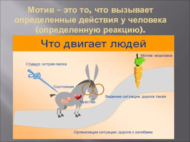 Мотив – это то, что вызывает определенные действия у человека (определенную реакцию).