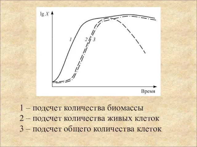 1 – подсчет количества биомассы 2 – подсчет количества живых клеток