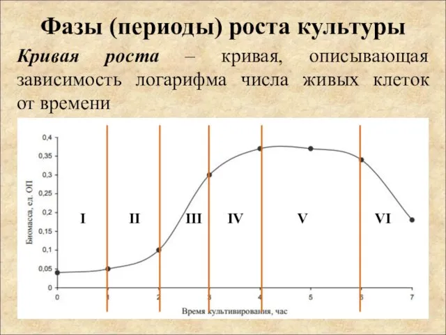 Фазы (периоды) роста культуры Кривая роста – кривая, описывающая зависимость логарифма числа живых клеток от времени