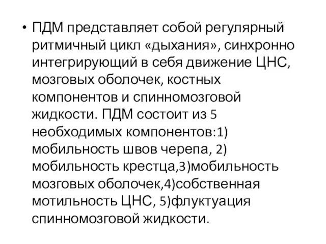 ПДМ представляет собой регулярный ритмичный цикл «дыхания», синхронно интегрирующий в себя