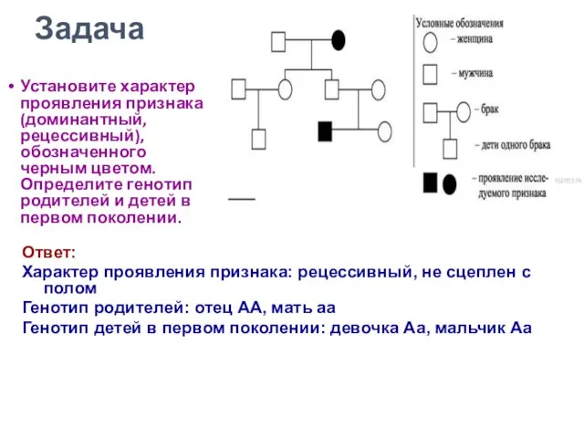 Установите характер проявления признака (доминантный, рецессивный), обозначенного черным цветом. Определите генотип