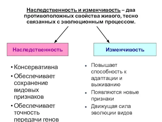 Наследственность и изменчивость – два противоположных свойства живого, тесно связанных с