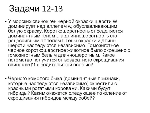 Задачи 12-13 У морских свинок ген черной окраски шерсти W доминирует