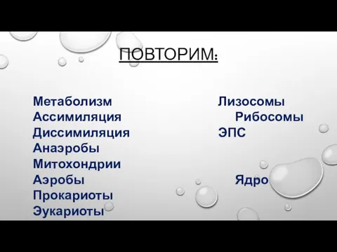 ПОВТОРИМ: Метаболизм Лизосомы Ассимиляция Рибосомы Диссимиляция ЭПС Анаэробы Митохондрии Аэробы Ядро Прокариоты Эукариоты