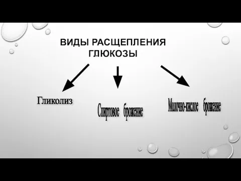 Гликолиз Спиртовое брожение Молочно-кислое брожение ВИДЫ РАСЩЕПЛЕНИЯ ГЛЮКОЗЫ