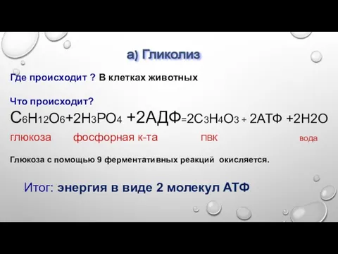 Где происходит ? В клетках животных Что происходит? С6Н12О6+2Н3РО4 +2АДФ=2С3Н4О3 +