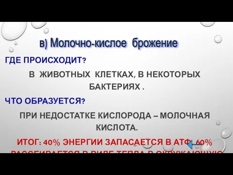 ГДЕ ПРОИСХОДИТ? В ЖИВОТНЫХ КЛЕТКАХ, В НЕКОТОРЫХ БАКТЕРИЯХ . ЧТО ОБРАЗУЕТСЯ?