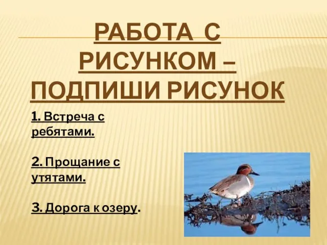 1. Встреча с ребятами. 2. Прощание с утятами. 3. Дорога к