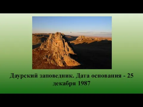 Даурский заповедник. Дата основания - 25 декабря 1987