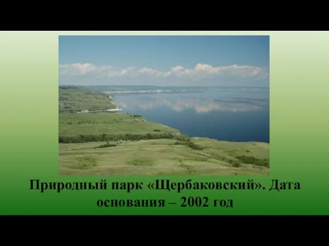 Природный парк «Щербаковский». Дата основания – 2002 год