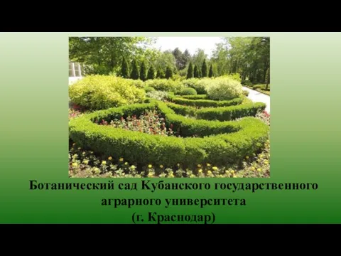 Ботанический сад Kубанского государственного аграрного университета (г. Краснодар)