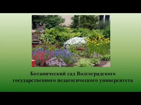 Ботанический сад Волгоградского государственного педагогического университета