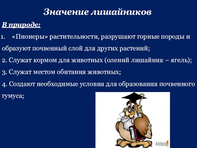 Значение лишайников В природе: «Пионеры» растительности, разрушают горные породы и образуют