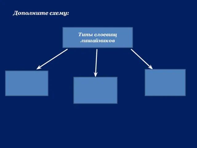 Дополните схему: Типы слоевищ лишайников