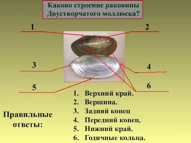 1 2 3 4 5 6 Правильные ответы: Верхний край. Вершина.