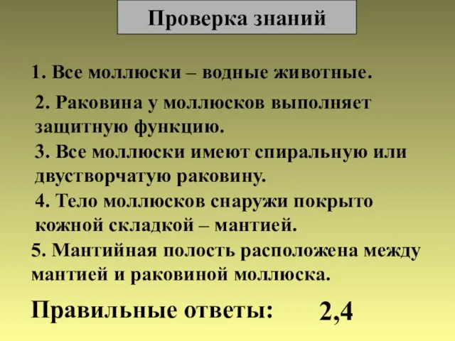 Проверка знаний 1. Все моллюски – водные животные. 2. Раковина у