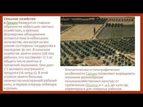 Климатические и топографические особенности Греции позволяют выращивать огромное разнообразие сельскохозяйственных культур: